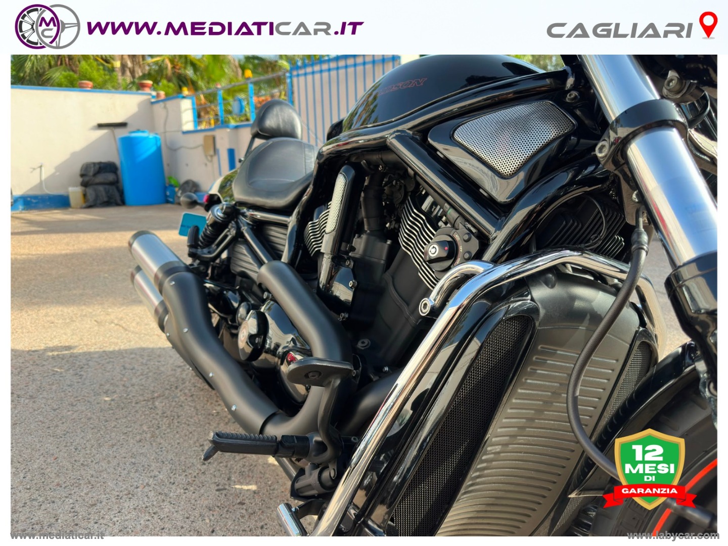 V-Rod - immagine 26