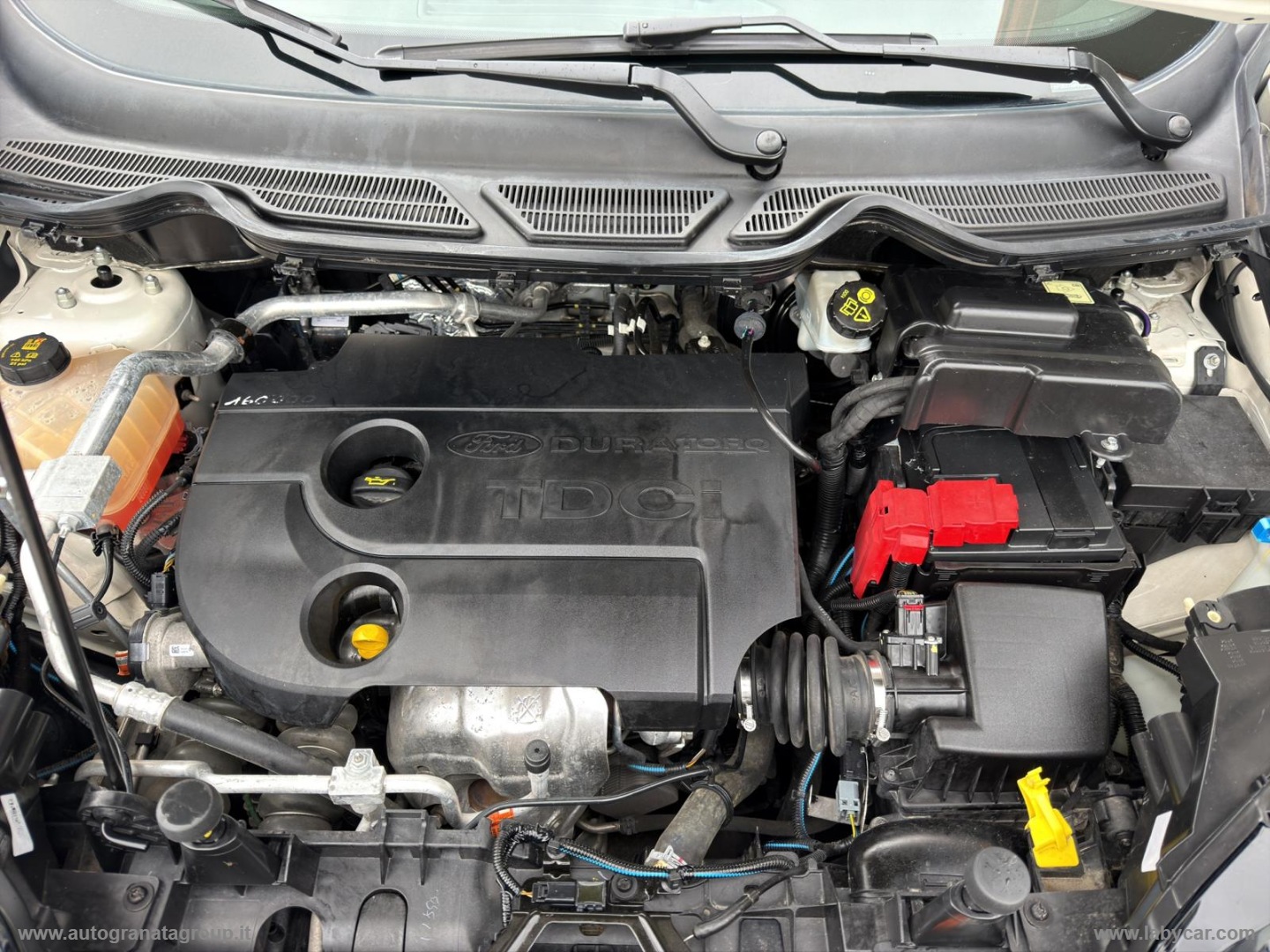 EcoSport 1.5 TDCi 90 CV Titanium TOP QUALITÀ- PREZZO! - immagine 26