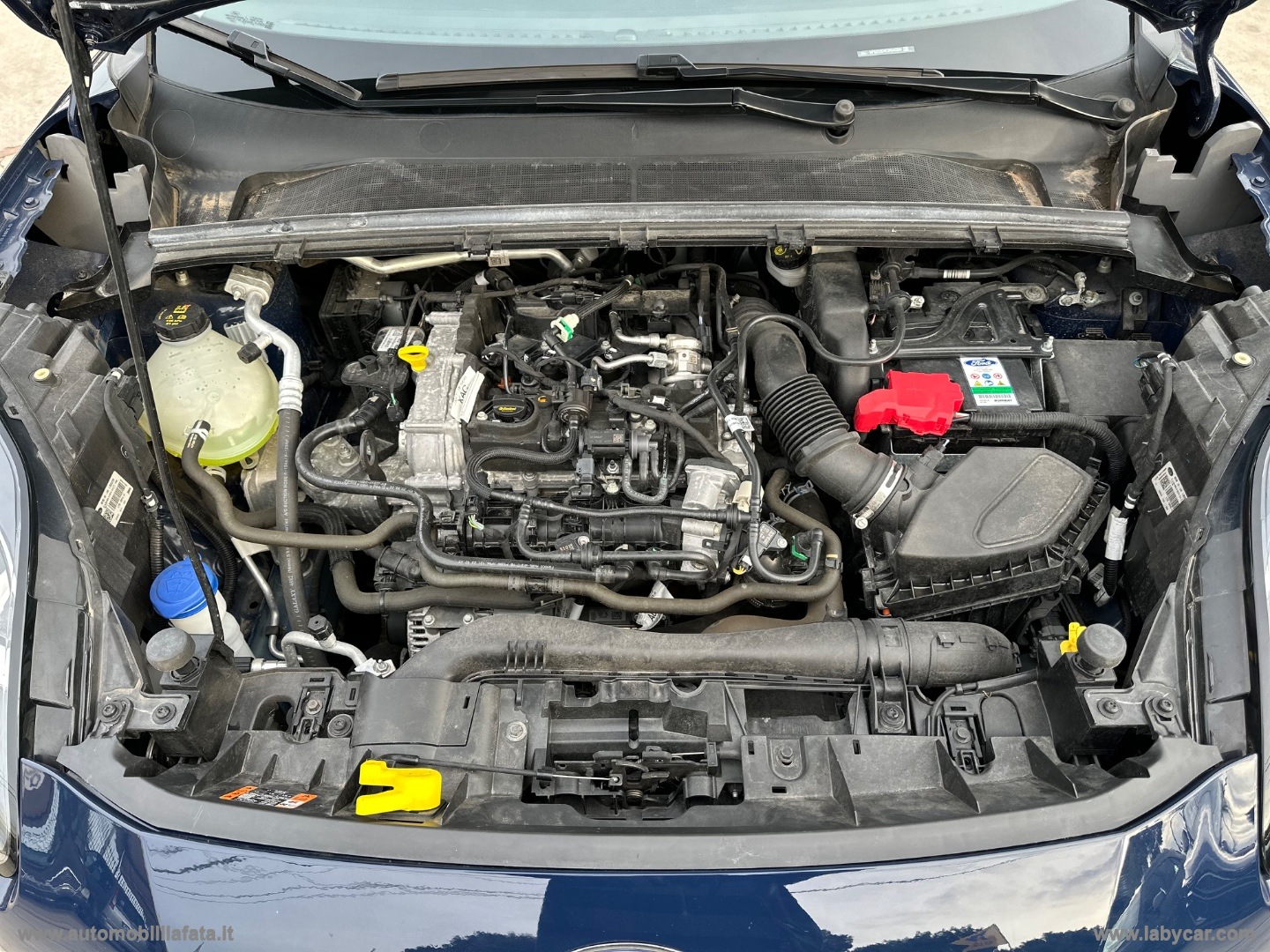 Puma 1.0 EcoBoost Hyb. 125 S&S Tit. Des. 10/2022 KM 25.000 - immagine 27