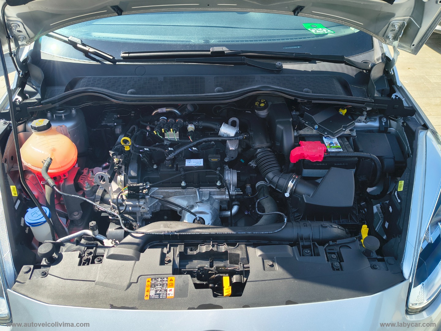 Fiesta 1.1 75 CV GPL 5p. Plus - immagine 28