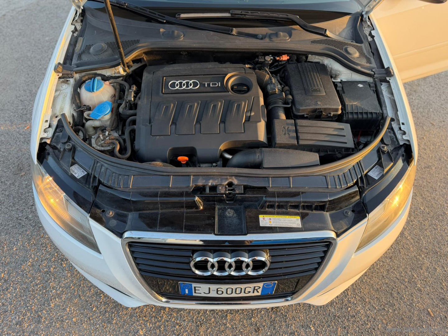 A3 1.6 TDI 90 CV CR FAP Ambiente - immagine 28