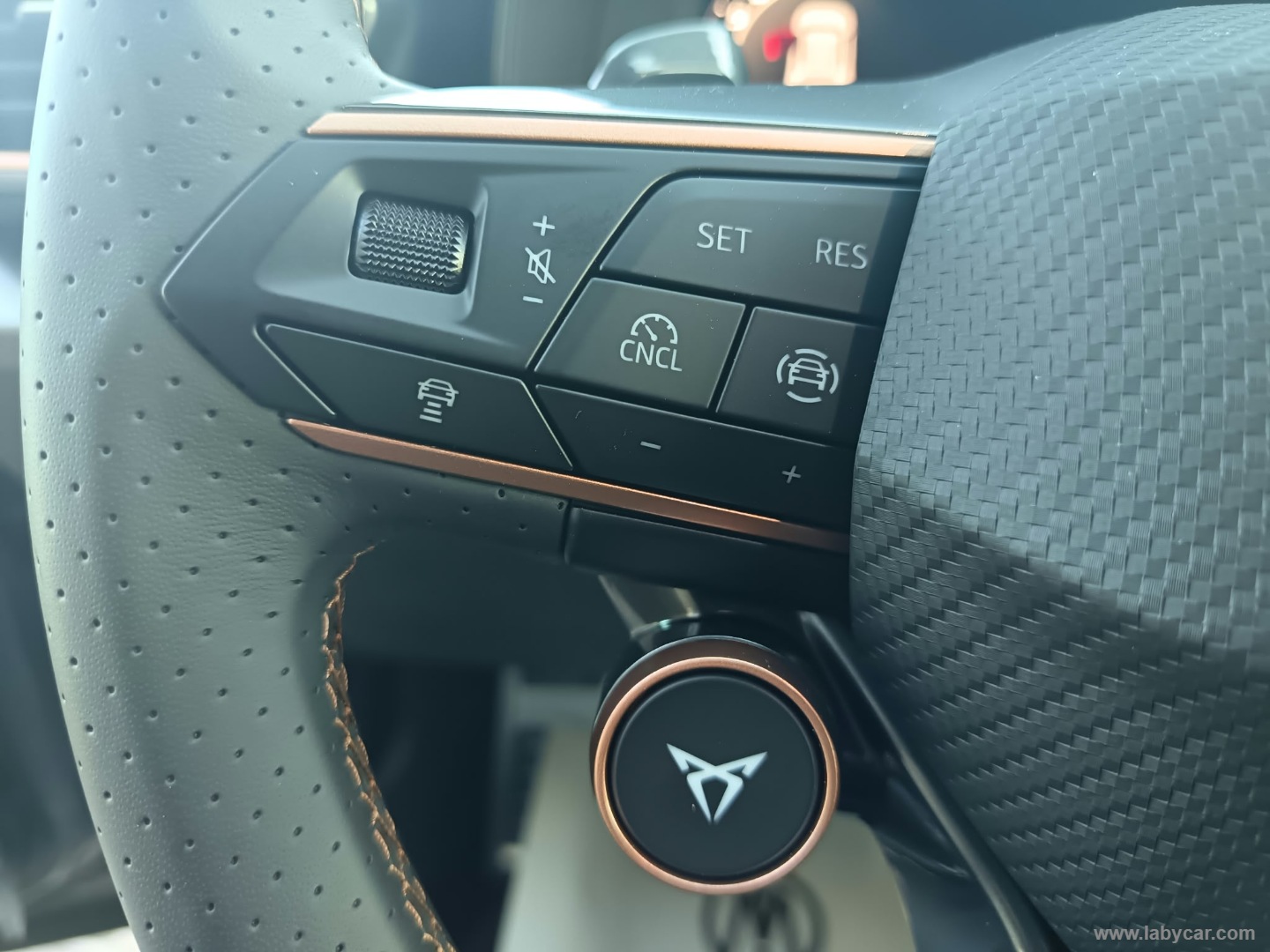CUPRA Formentor 1.5 Hybrid DSG Business - Immagine 29