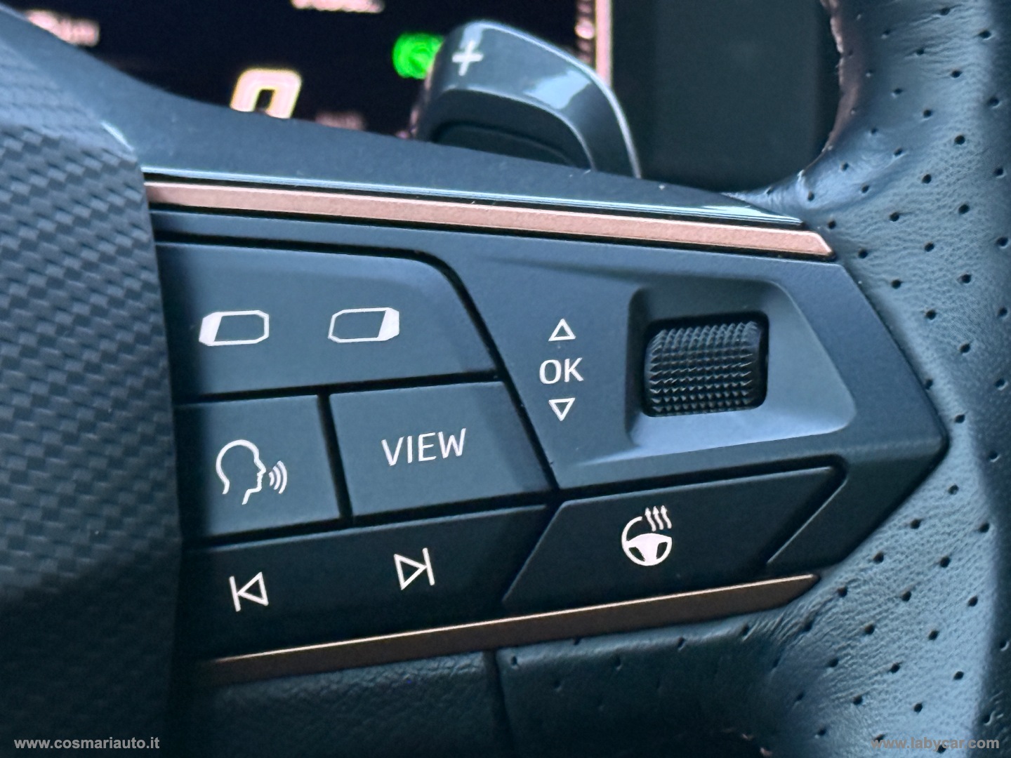 Formentor 2.0 TDI 4Drive 150CV DSG LUCI AMBIENTE COKCPIT - immagine 30