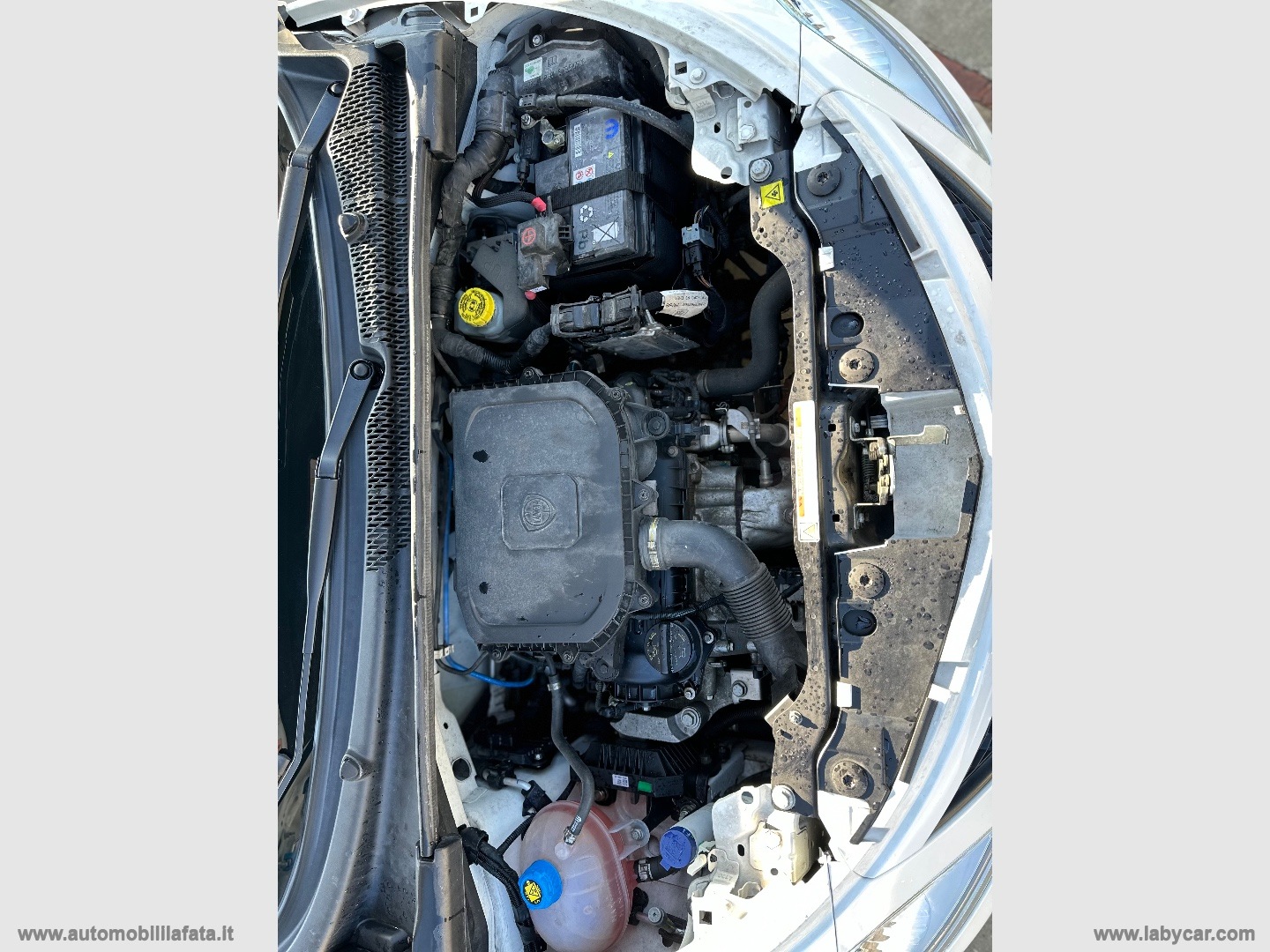 Ypsilon 1.0 FireFly 5p.S&S Hyb. Eco Gold HYBRID IDEALE PER NEOPATENTATI - immagine 30