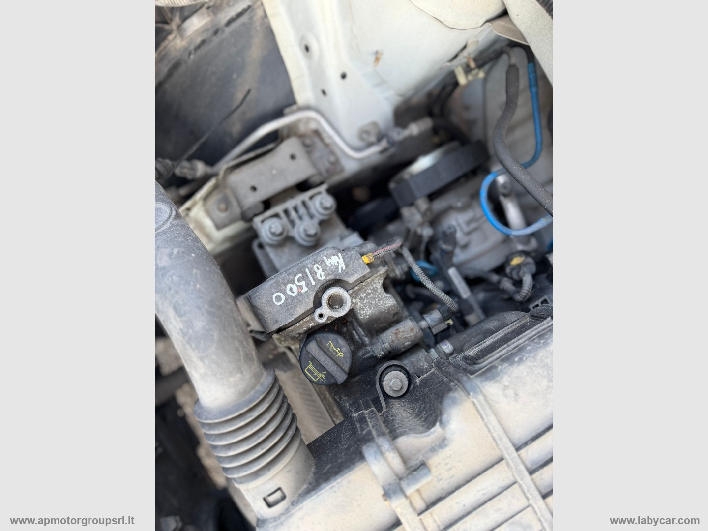 Punto 1.2 8V 3p. Pop - immagine 31