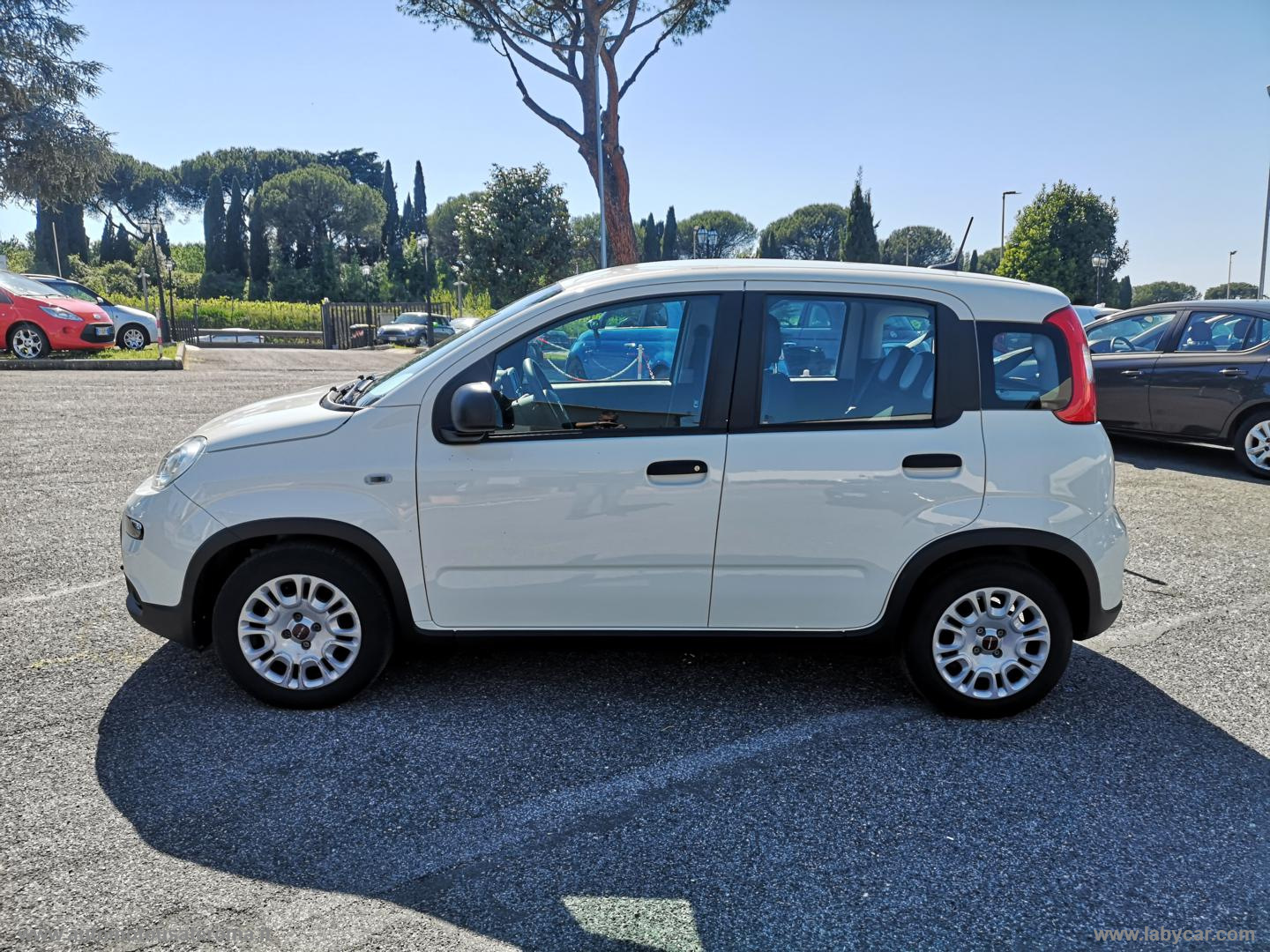 Panda 1.0 FireFly S&S Hybrid City Life IVA DEDUC. PROMO WEB - immagine 31
