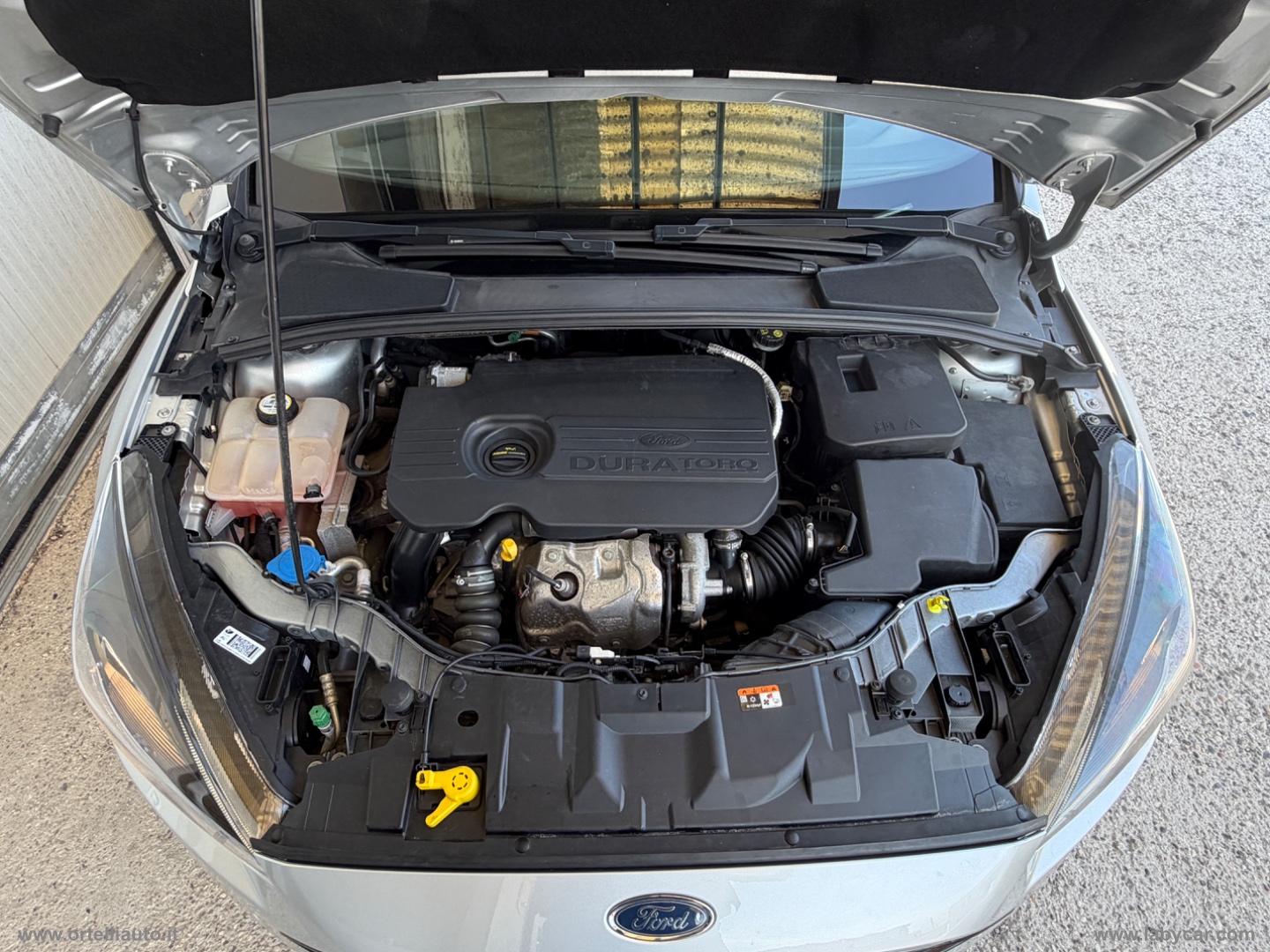 Focus 1.5 EcoBlue 120CV 5p. ST Line - immagine 33