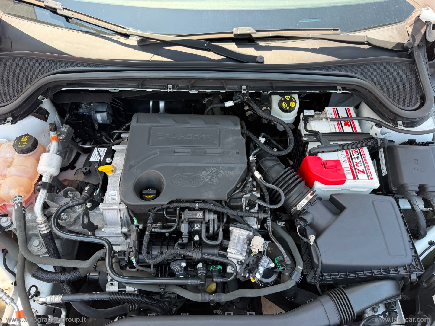 Focus 1.0 EcoBoost 125CV 5p. Titanium PREZZO AFFARE! - immagine 34