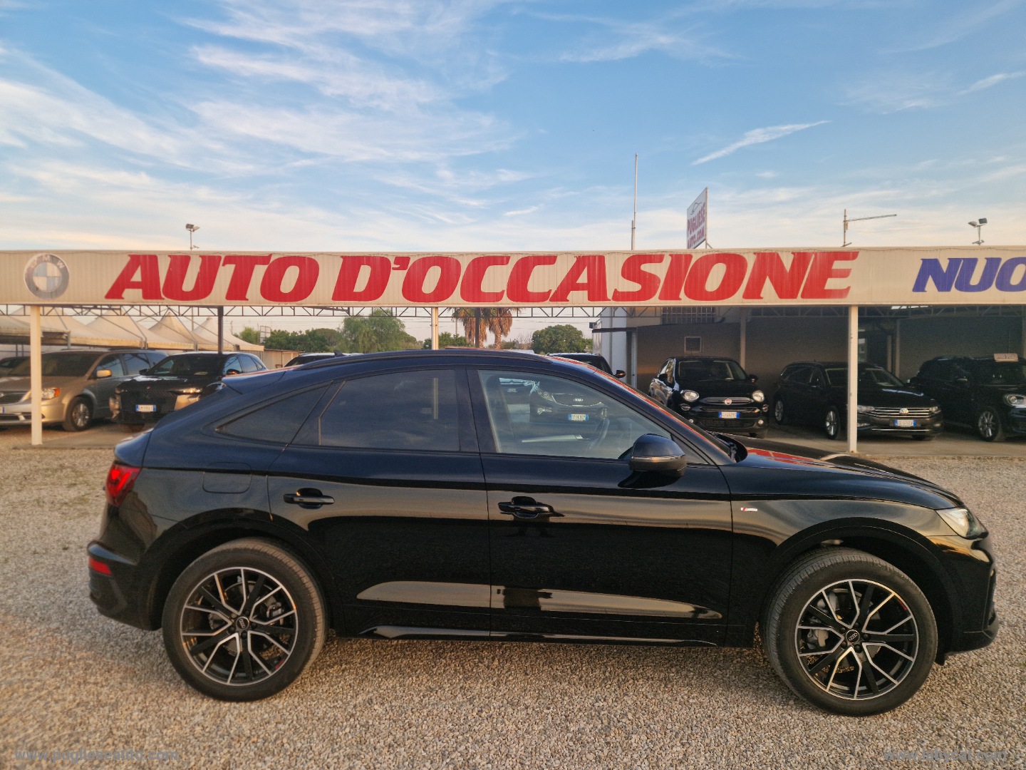 Q5 SPB 40 TDI quattro S tronic S line TETTO - immagine 35