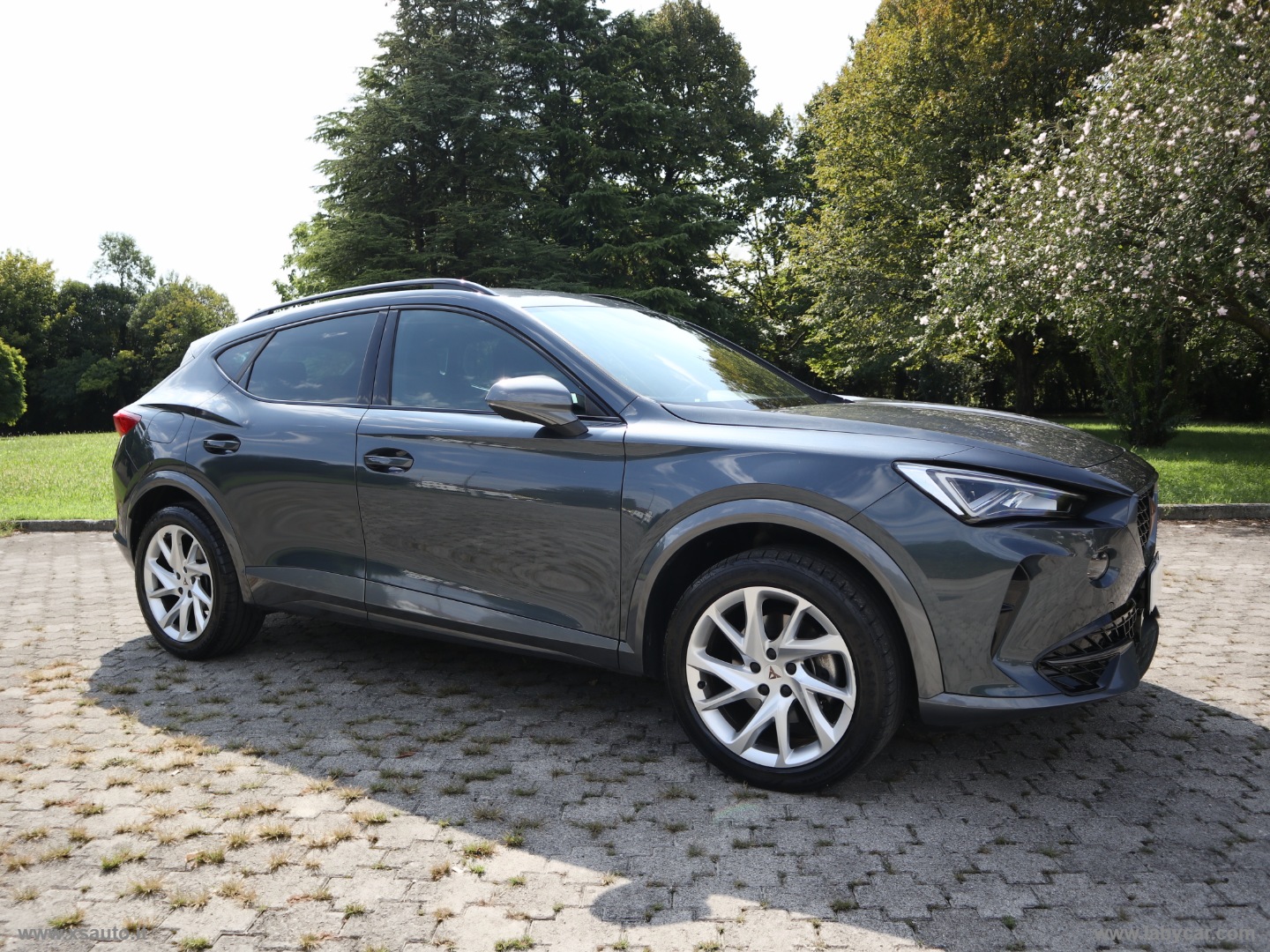 Formentor 1.5 TSI DSG - immagine 39