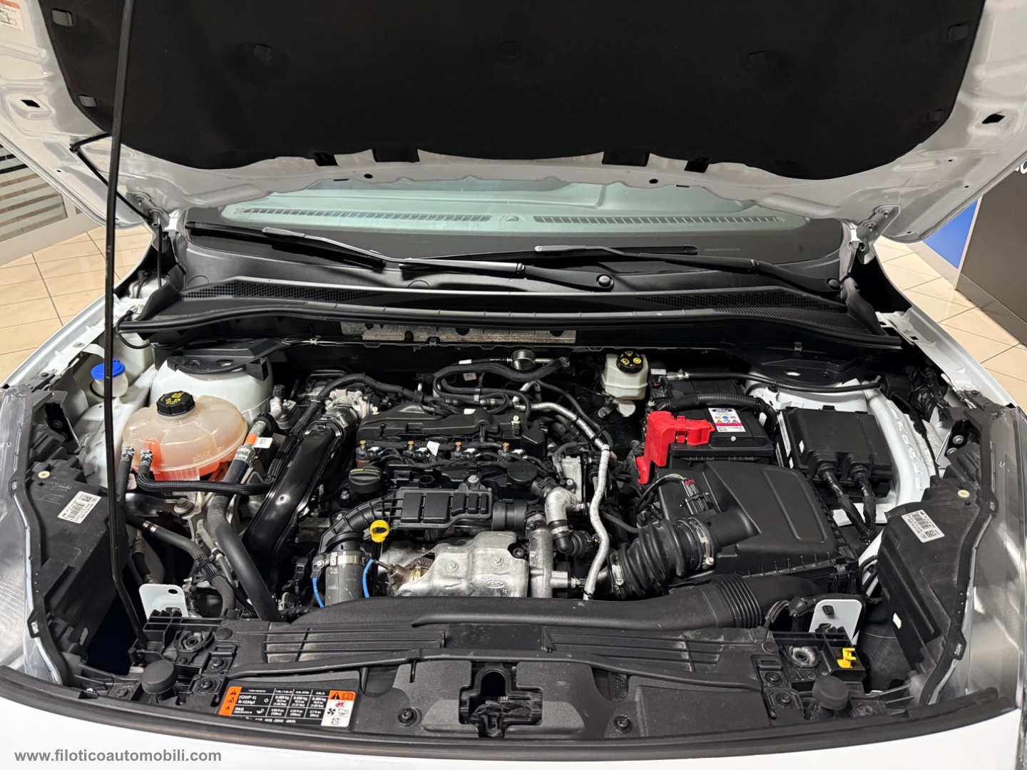Kuga 1.5 EcoBlue 120 CV aut. AUTOCARRO ST-Line 2WD DIESEL AUTOCARRO N1 DETRAIBILE - immagine 40