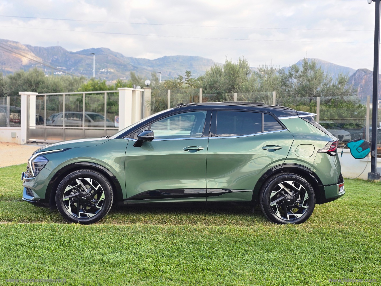 Sportage 1.6 CRDi MHEV DCT GT-line Plus TETTUCCIO - immagine 43