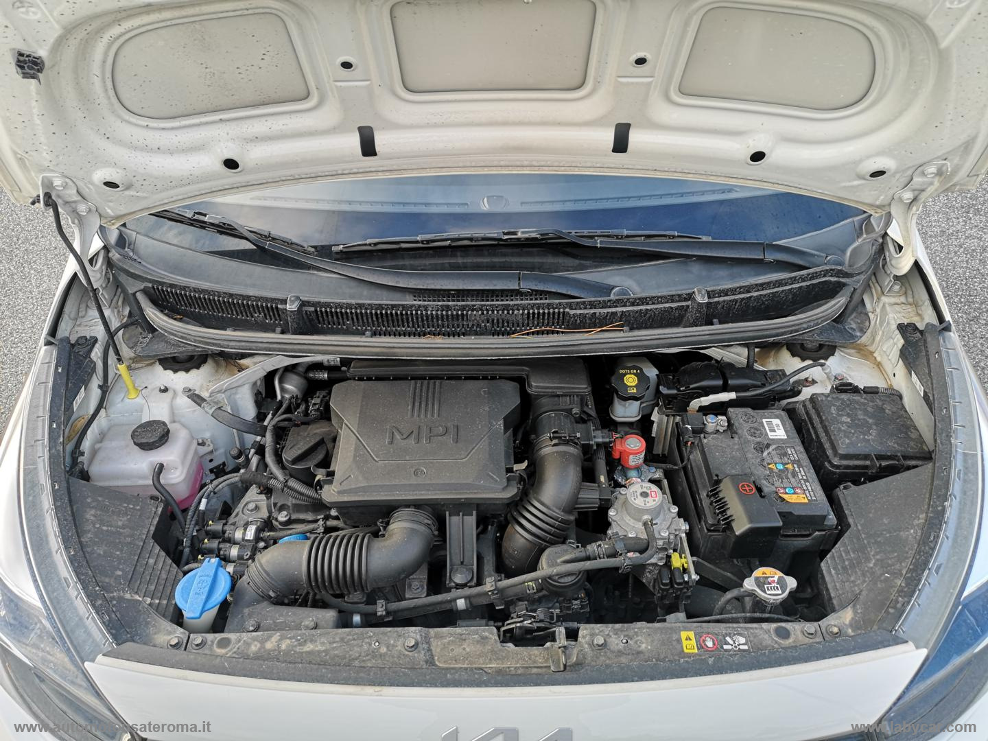 Picanto 1.0 12V GPL 5p. X-LINE PROMO WEB - immagine 43