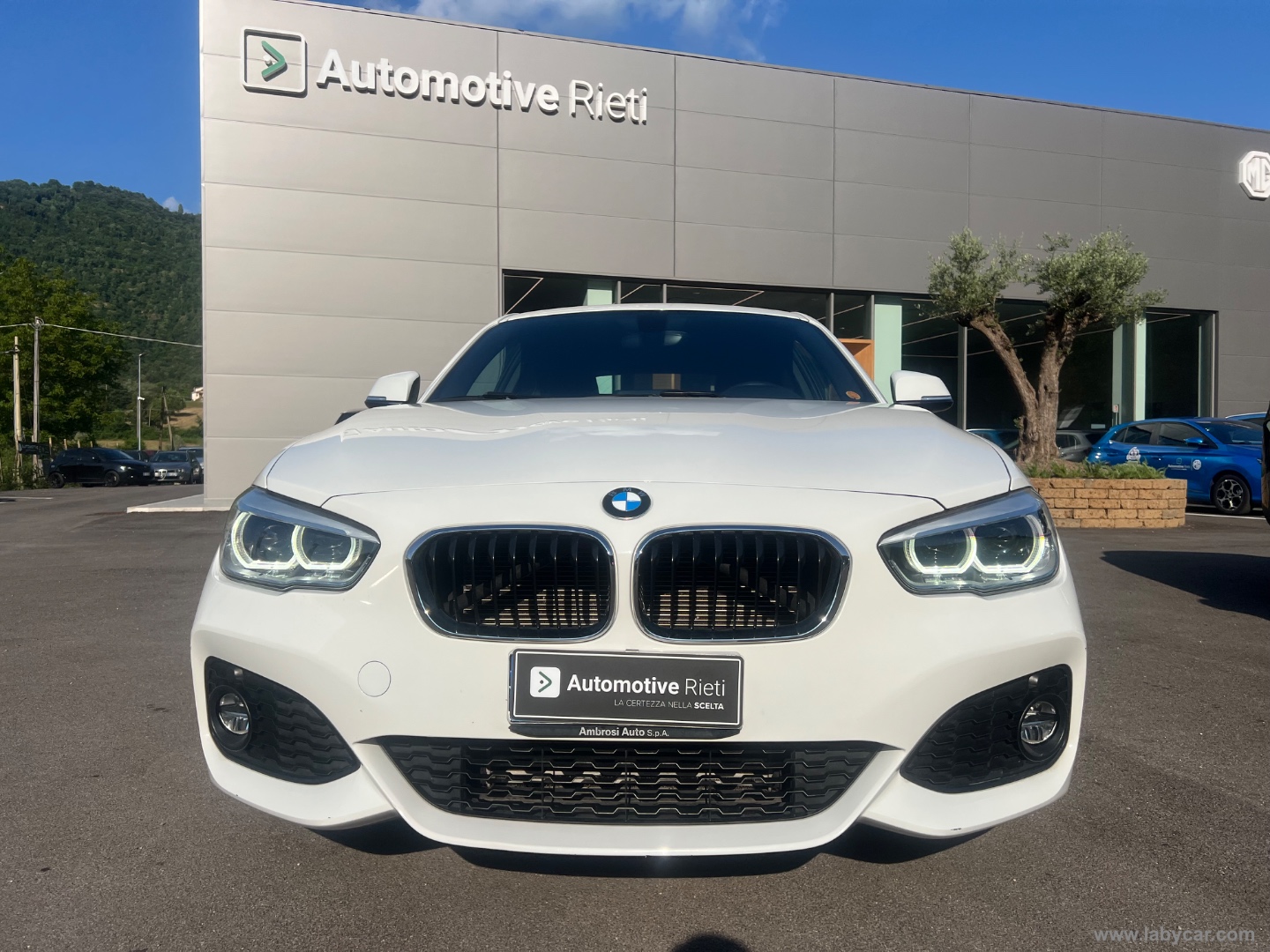 116d 3p. Msport - immagine 2
