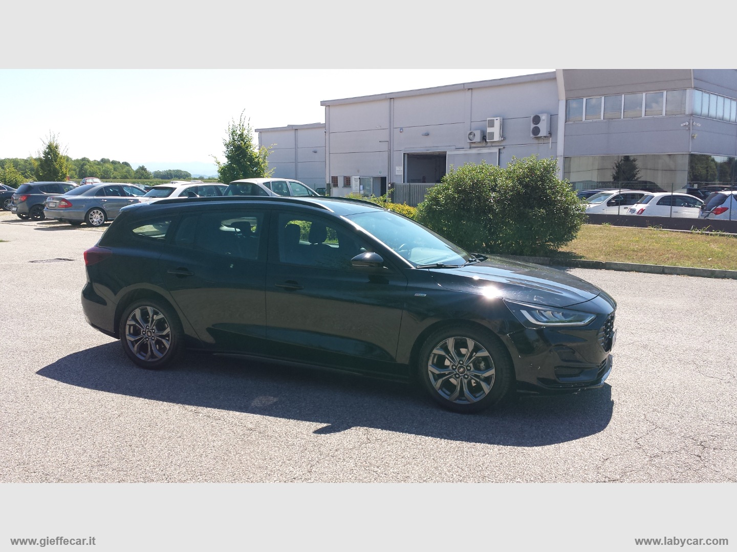 Focus 1.0 EcoB. Hybrid 155CV Pow SW ST-LINE - immagine 2