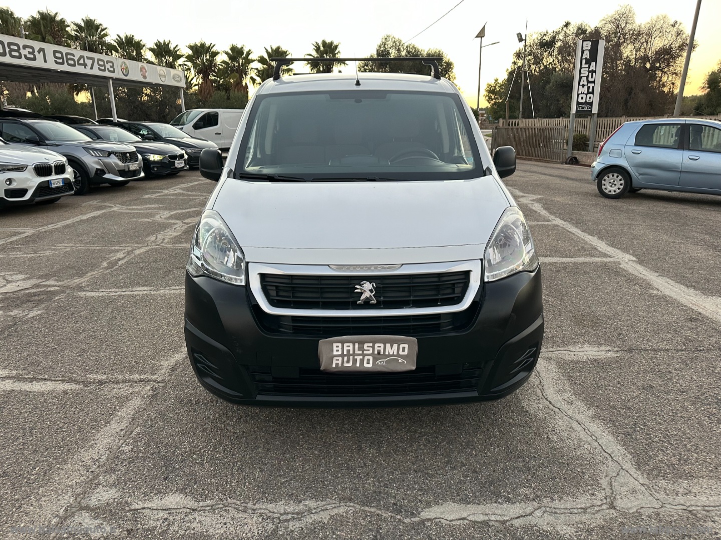 Partner BlueHDi 100 - immagine 2