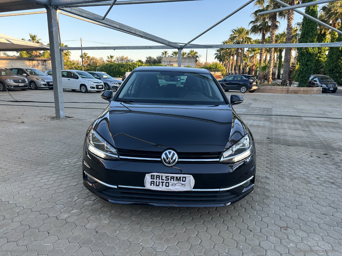 Golf 1.6 TDI 115CV 5p. Business BMT - immagine 2