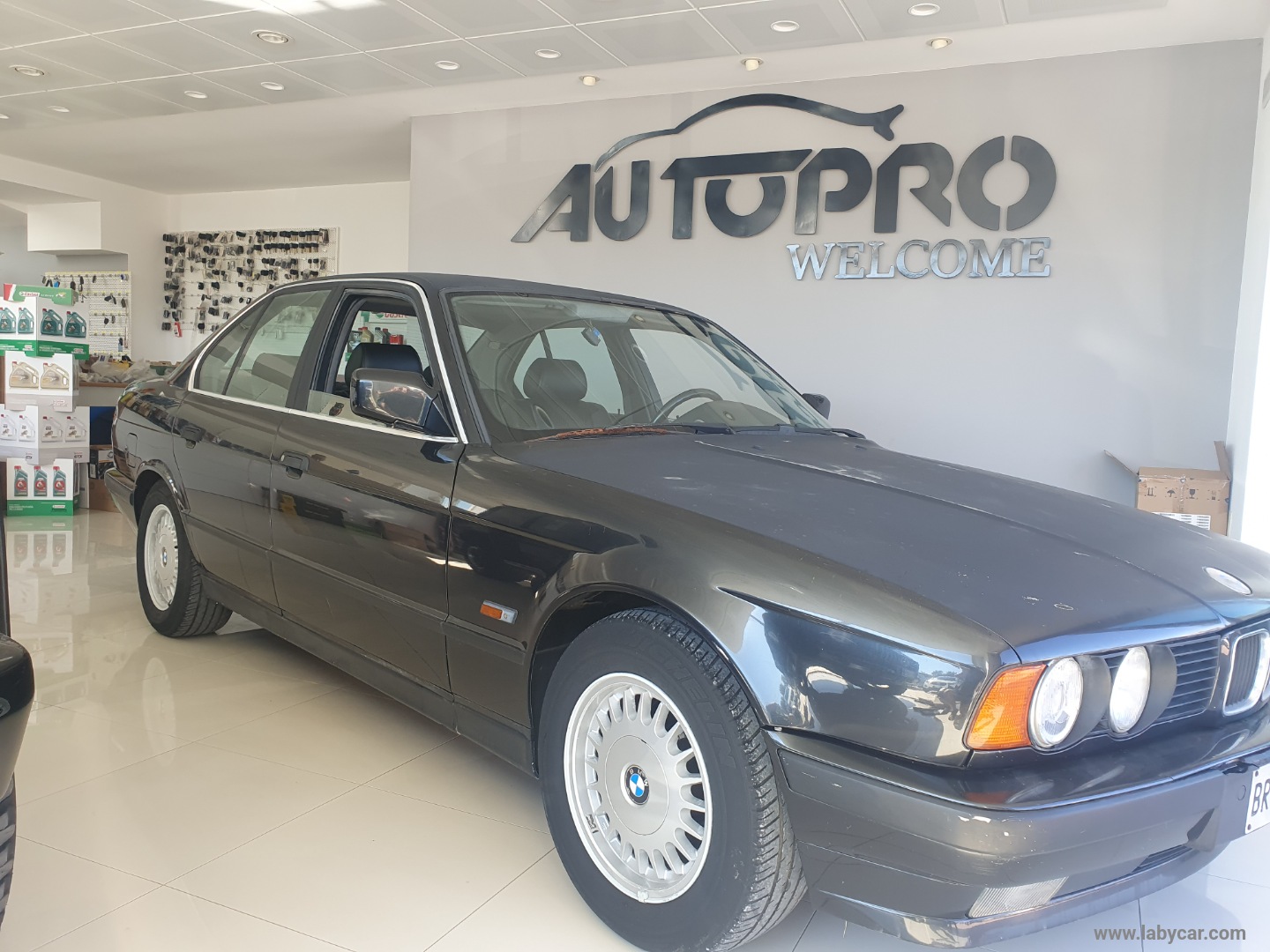 520 1992 AUTO D EPOCA - immagine 2