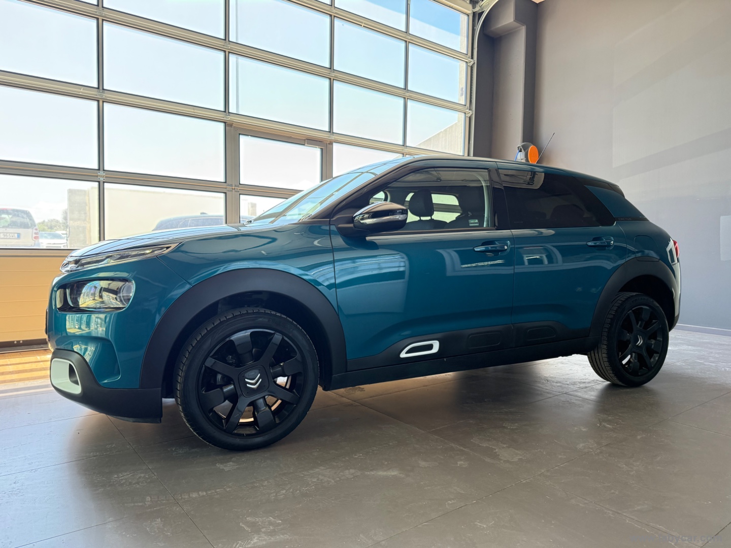 C4 Cactus BlueHDi 100 S&S Shine - immagine 2