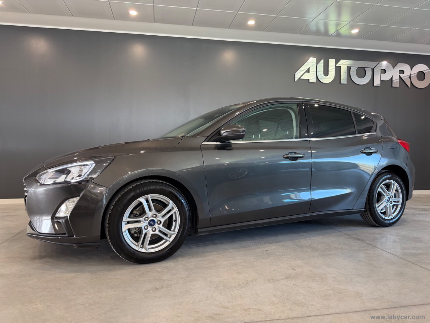 Focus 1.0 EcoBoost 125CV 5p Business - immagine 2
