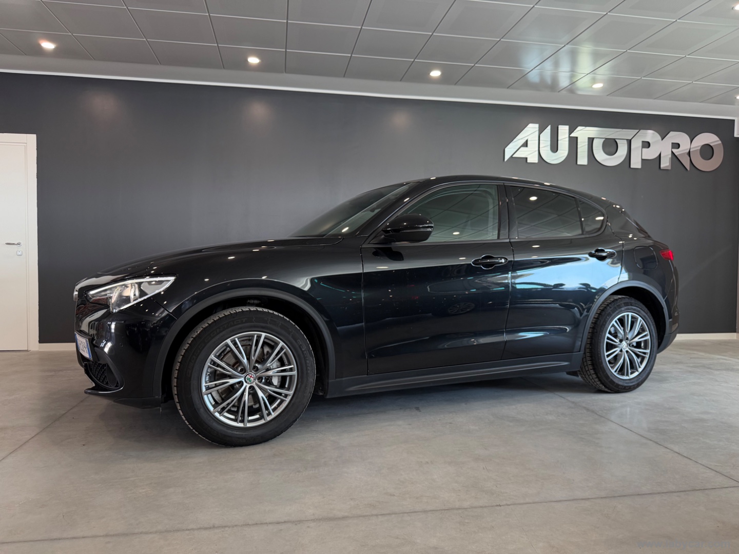 Stelvio 2.2 T.diesel 190 CV AT8 Q4 Bus. - immagine 2