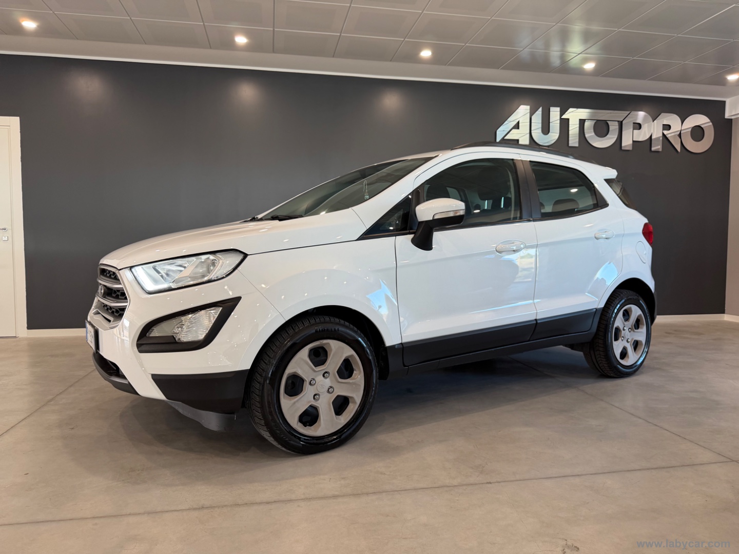 EcoSport 1.5 Ecoblue 100 CV S&S Business - immagine 2