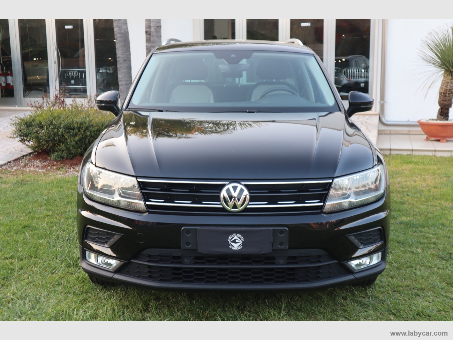 Tiguan 1.6 TDI Business BMT - immagine 2