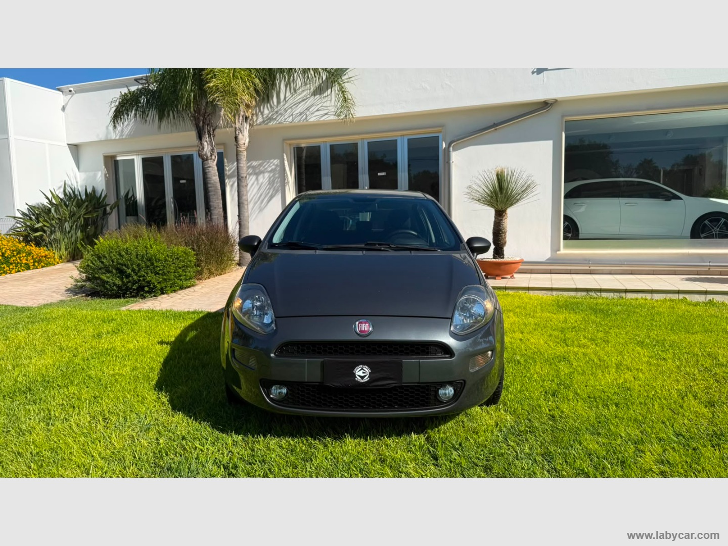Punto 1.2 8V 5p. Lounge - immagine 2