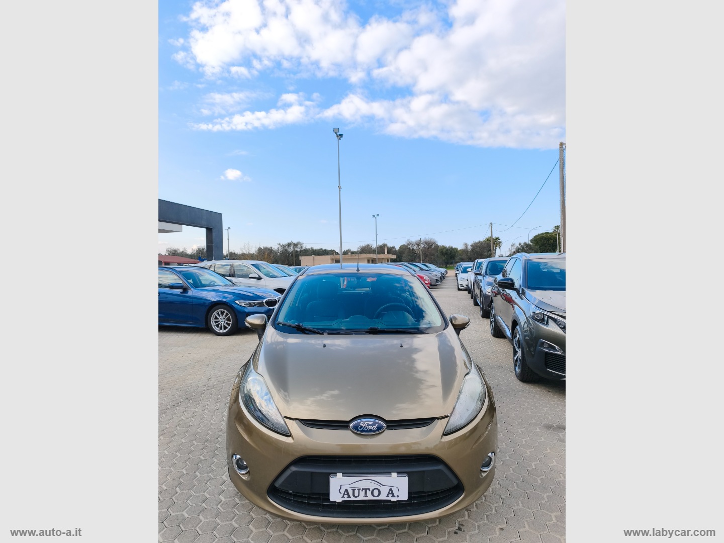 Fiesta 1.4 TDCi 70 CV 5p. Titanium - immagine 2