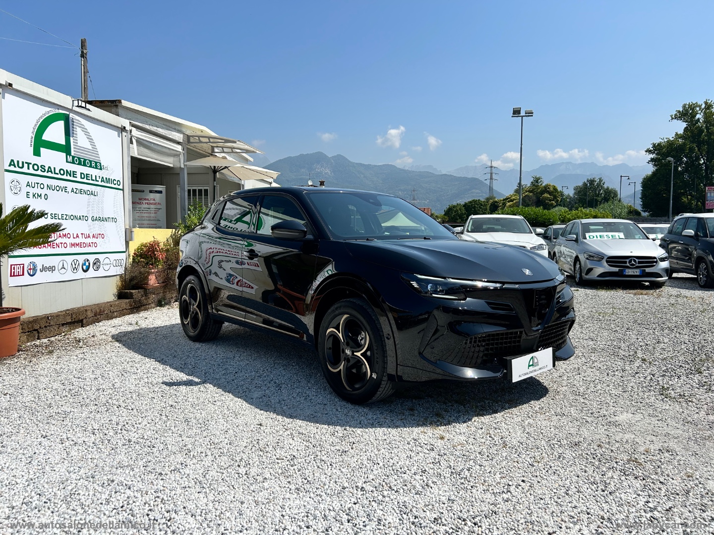 Img Particolare 01