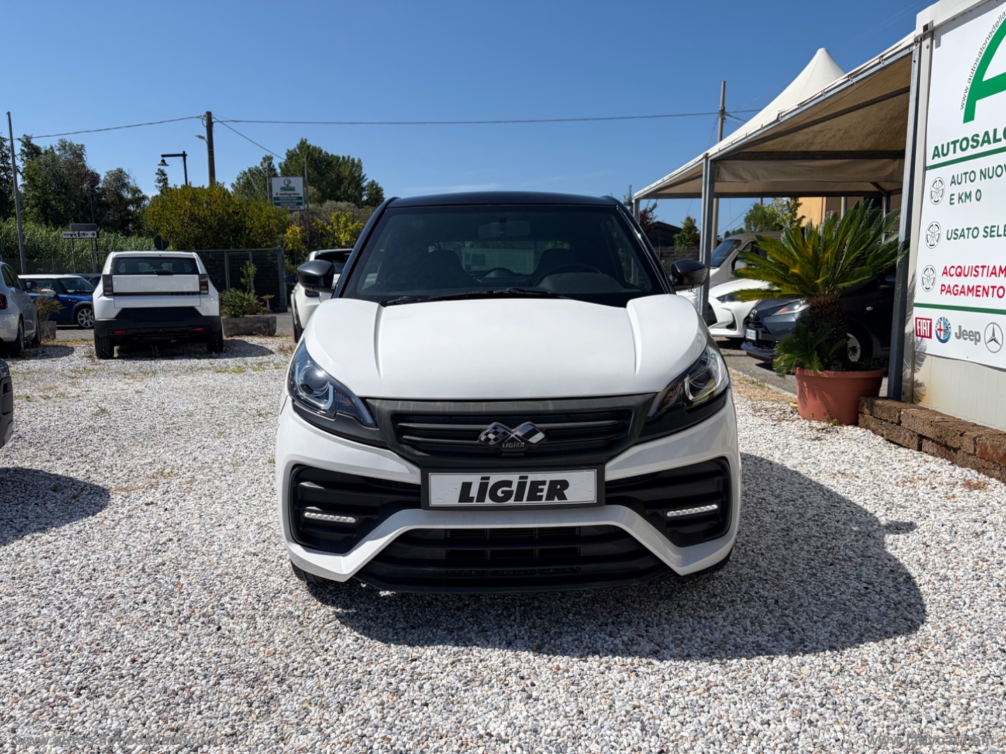 JS50 Progress Sport Young - immagine 2