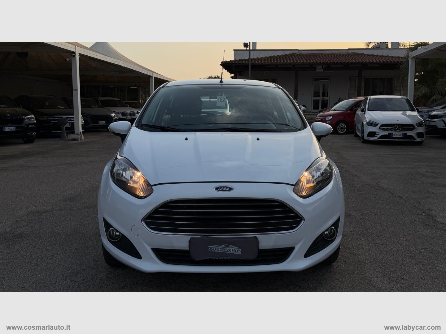 Fiesta 1.5 TDCi 75 CV 5p. Business - immagine 2