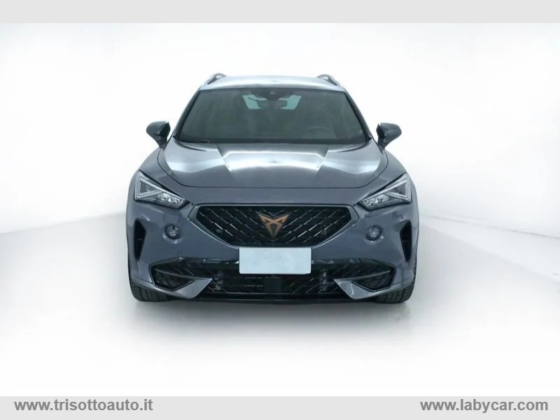 Formentor 2.0 TSI 190CV 4Drive DSG - immagine 2