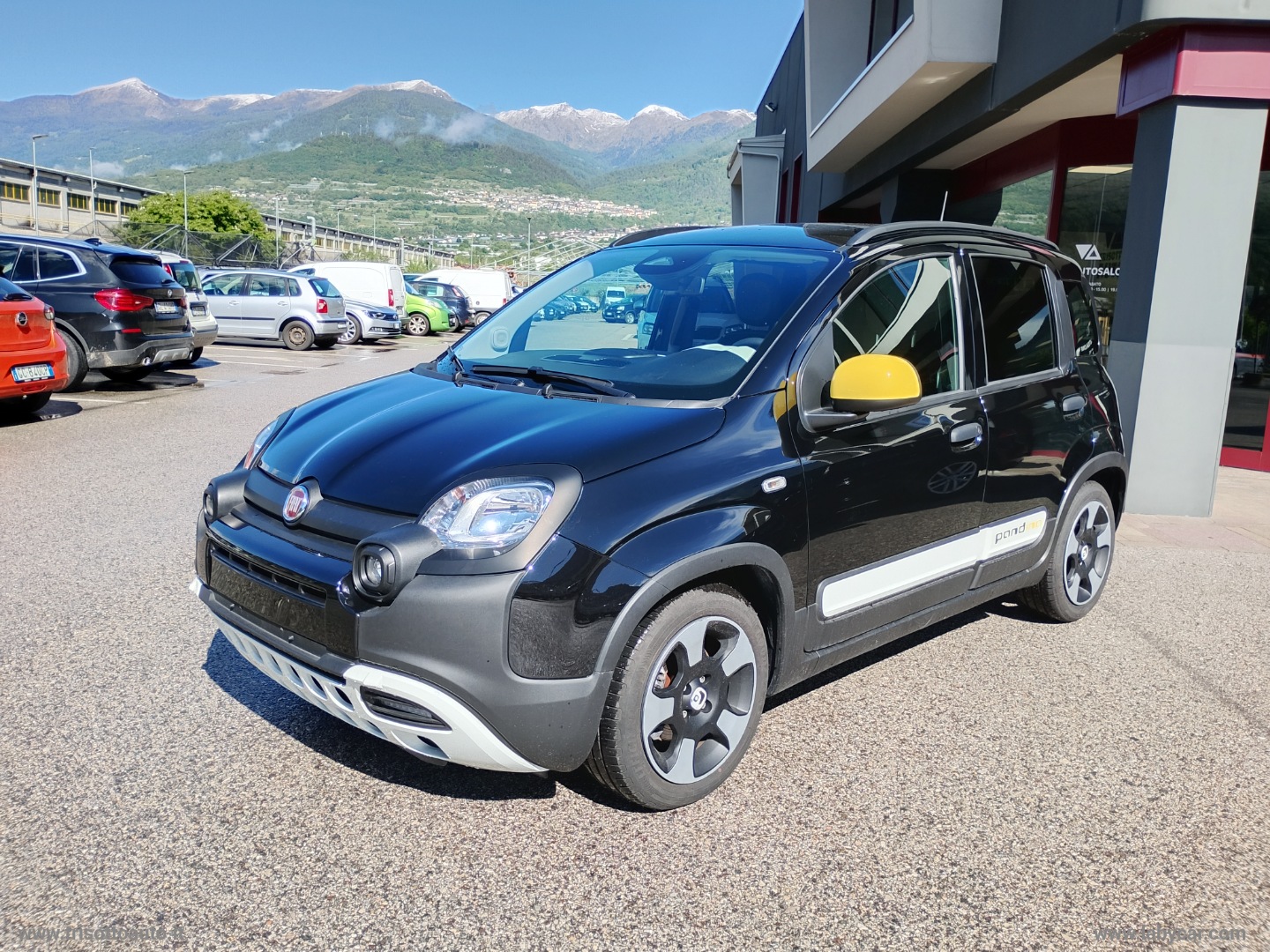 Panda 1.0 FireFly Hybrid 70CV Pandina VARI COLORI - immagine 2