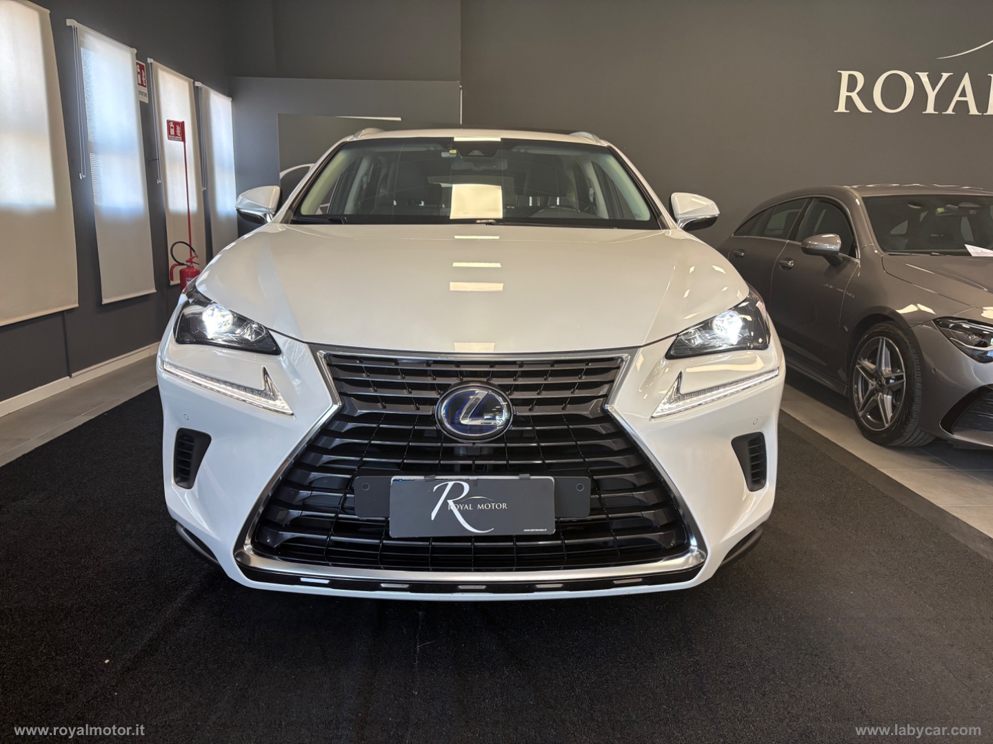 NX 300H Hybrid 4WD Executive - immagine 2