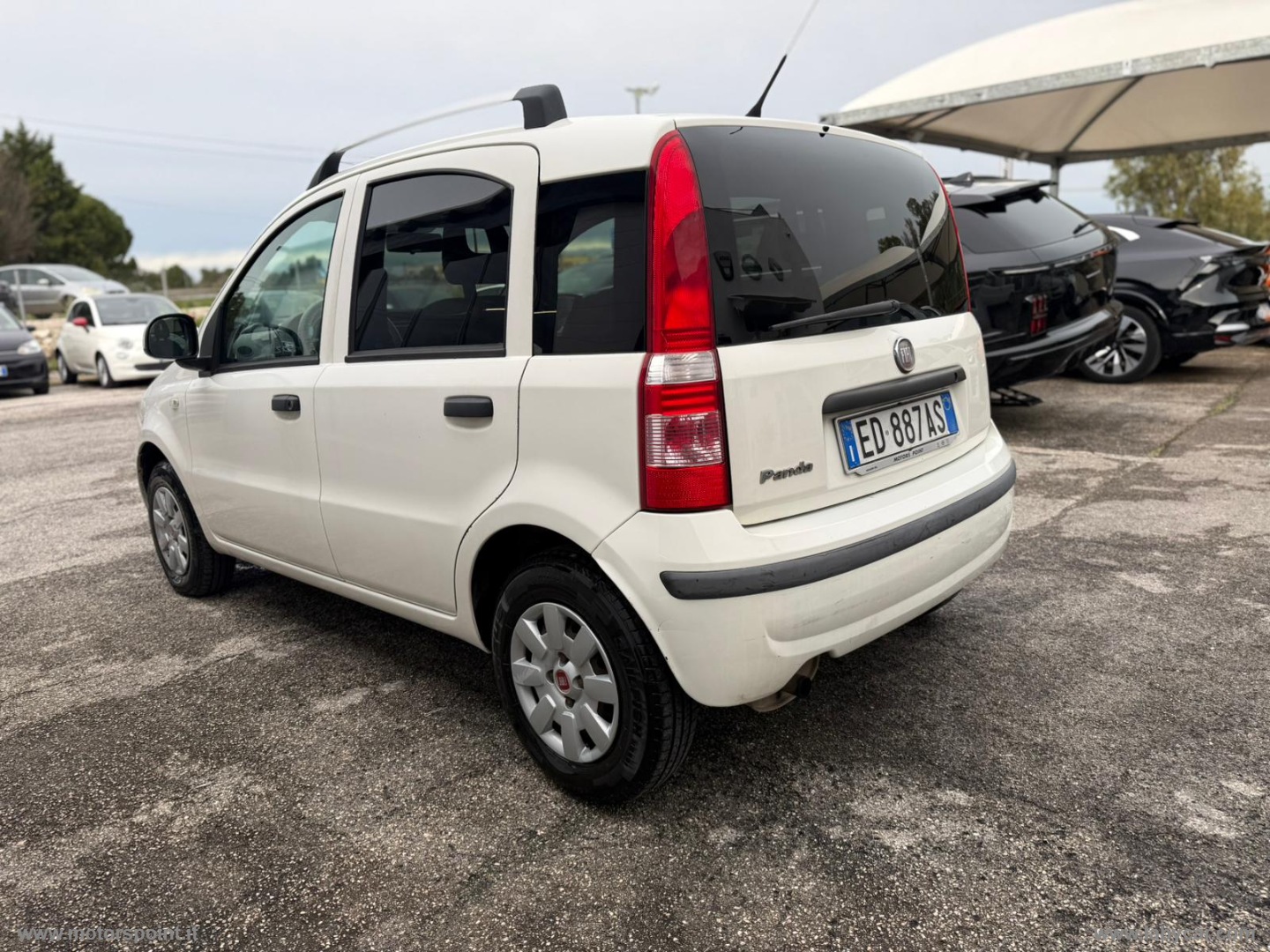 Panda 1.3 MJT 16V 4x4 - immagine 2