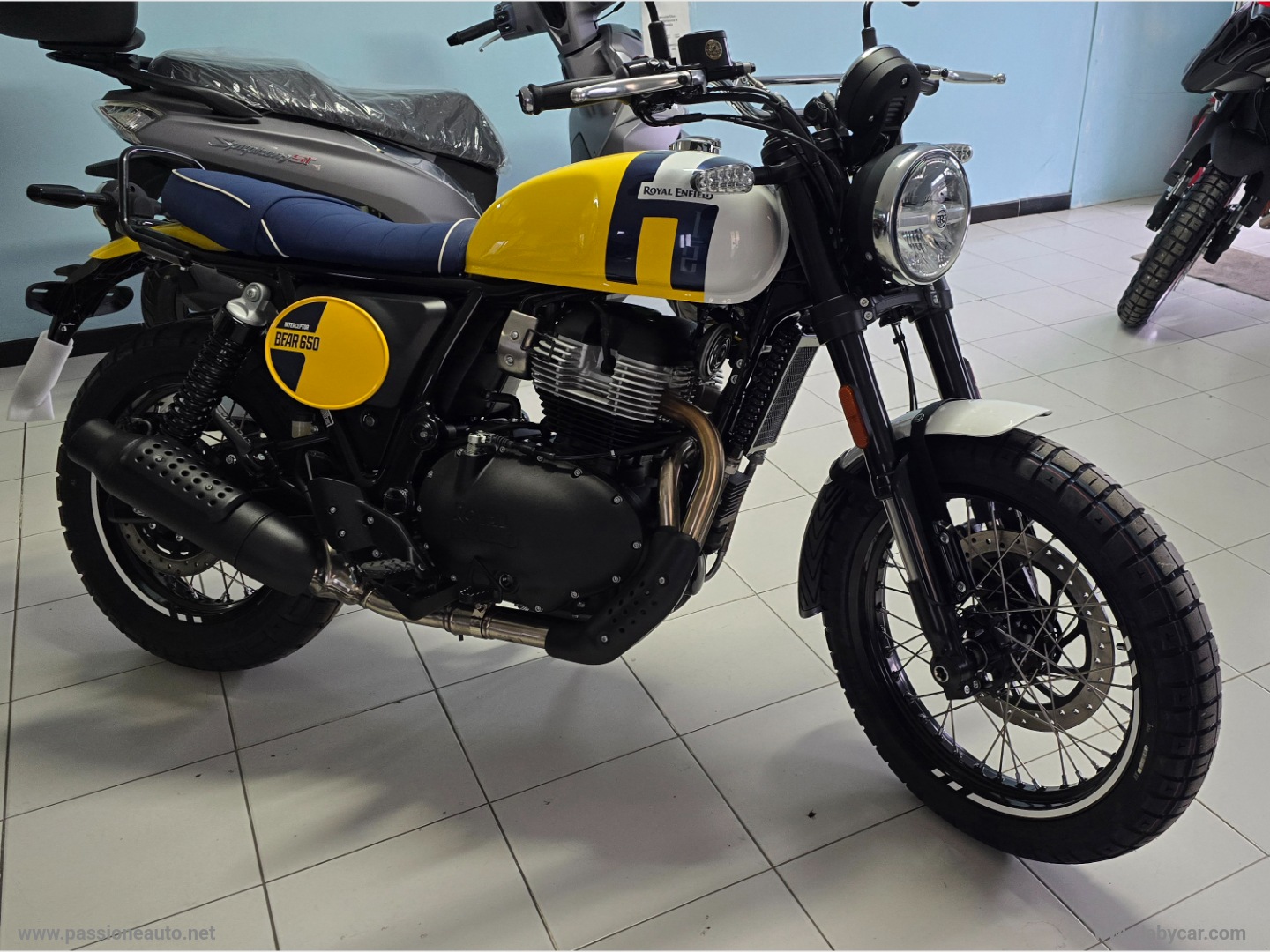 BEAR 650 LIMITED EDITION - immagine 2