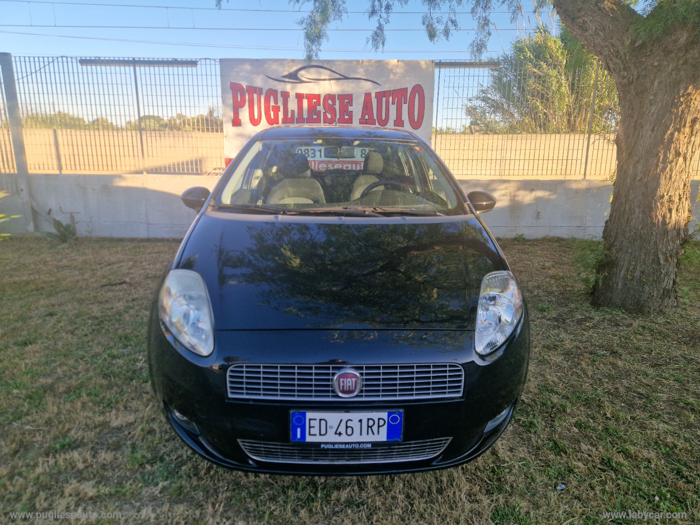 Grande Punto 1.2 5p. Dynamic - immagine 2