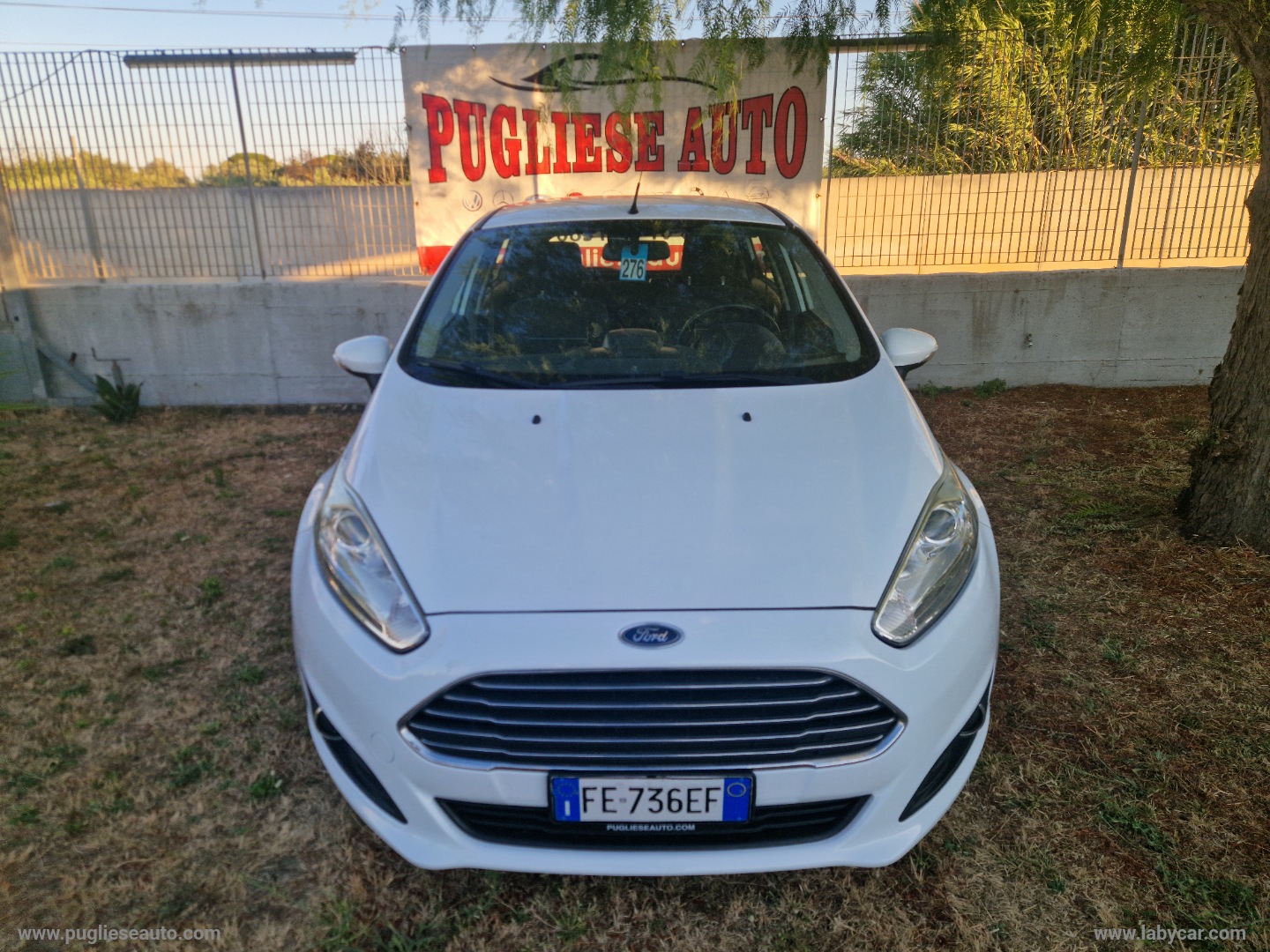 Fiesta 1.5 TDCi 75 CV 5p. - immagine 2