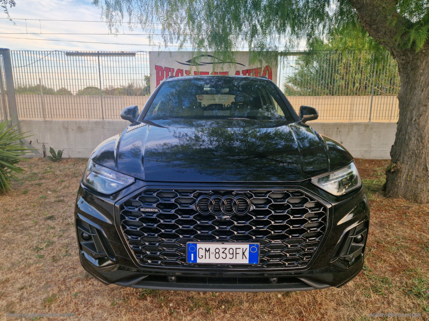 Q5 SPB 40 TDI quattro S tronic S line TETTO - immagine 2