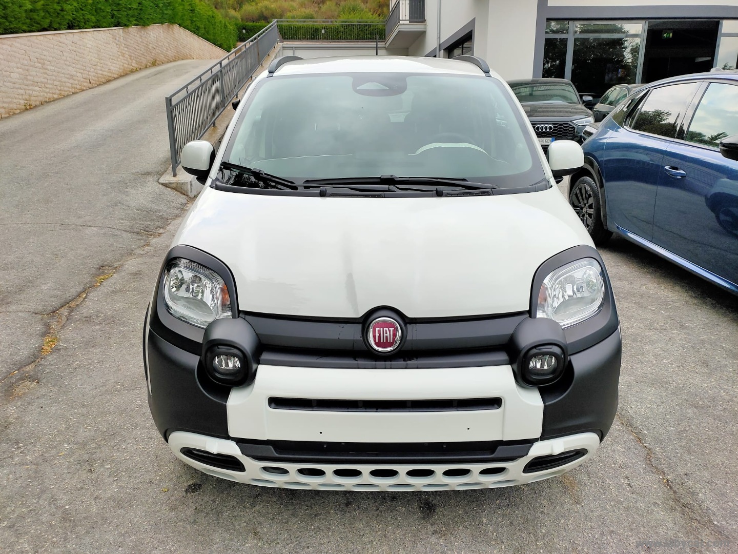 Fiat Panda 1.0 FireFly S&S Hybrid Pandina - Immagine 2