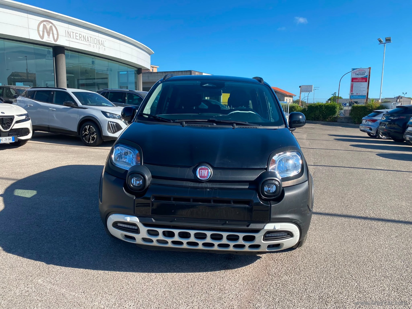 Fiat Panda 1.0 FireFly S&S Hybrid Pandina - Immagine 2