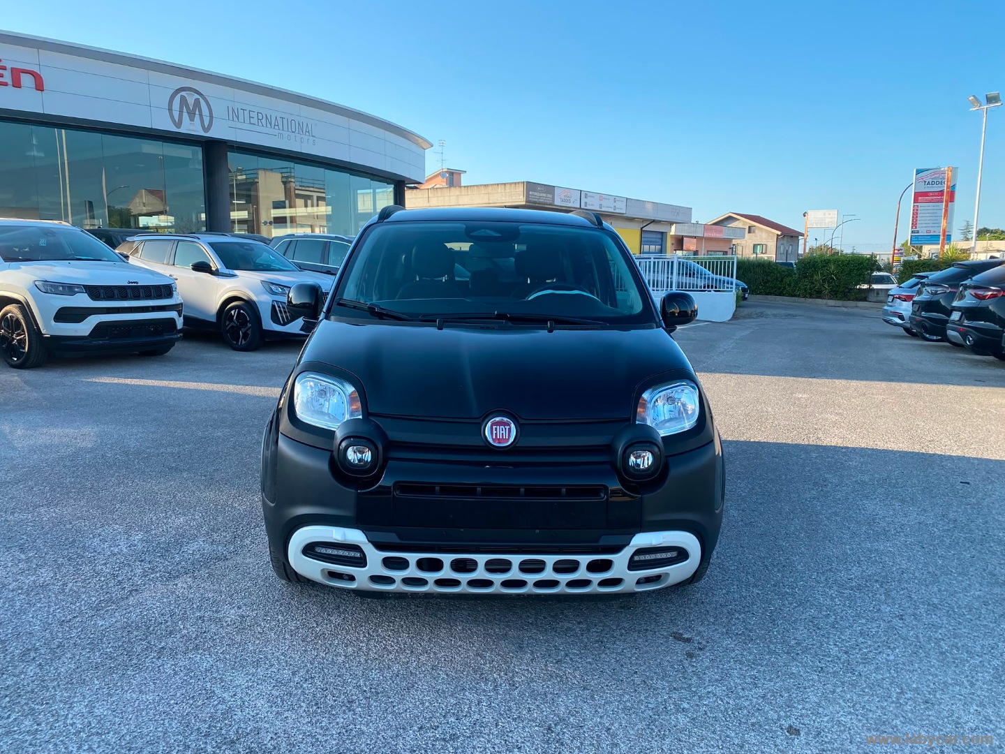Fiat Panda 1.0 FireFly S&S Hybrid Pandina - Immagine 2