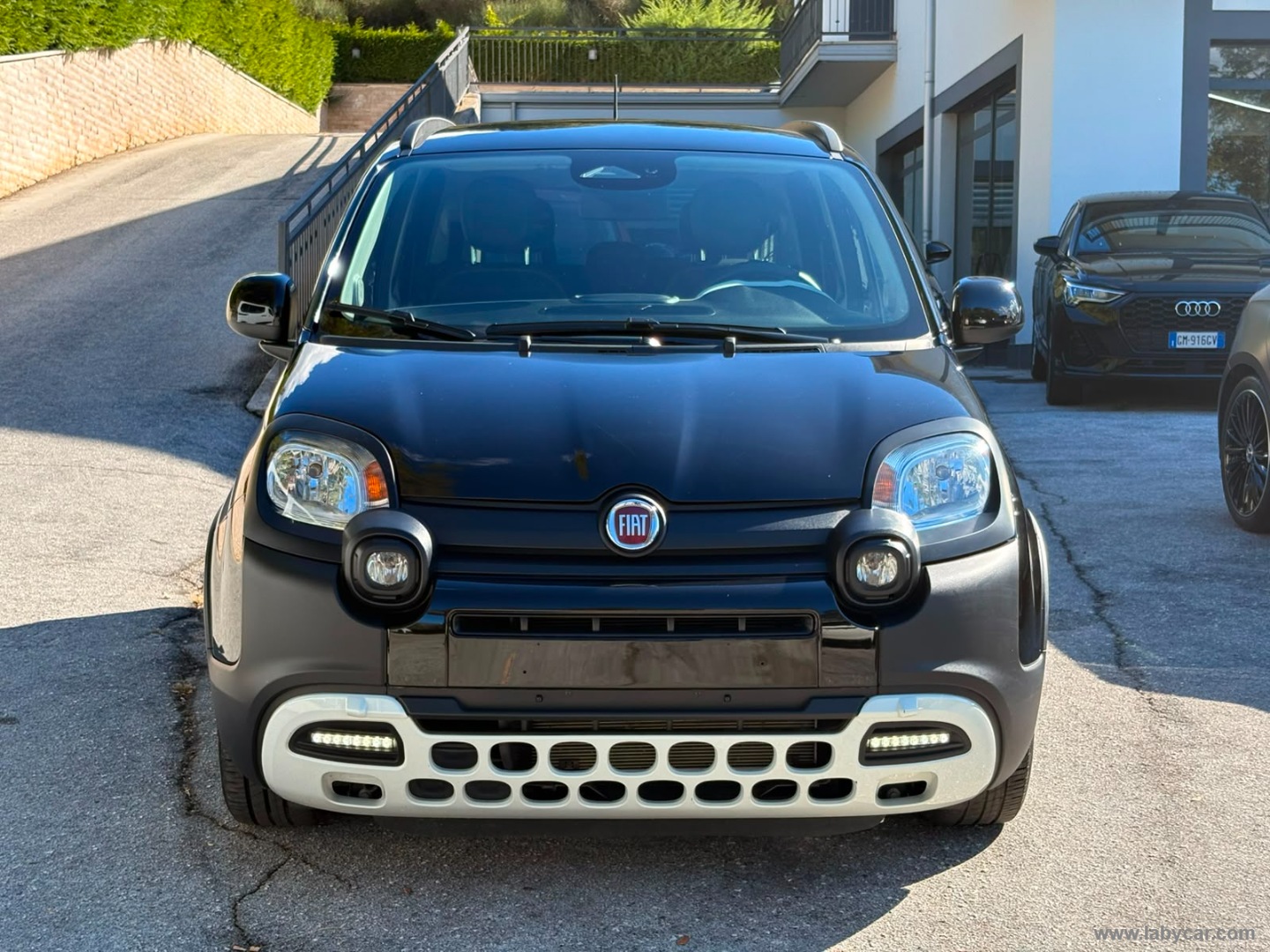 Fiat Panda 1.0 FireFly S&S Hybrid Pandina - Immagine 2
