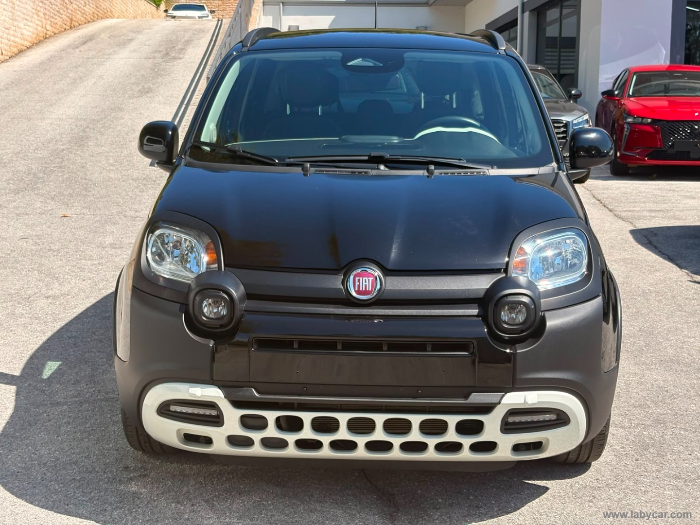Fiat Panda 1.0 FireFly S&S Hybrid Pandina - Immagine 2