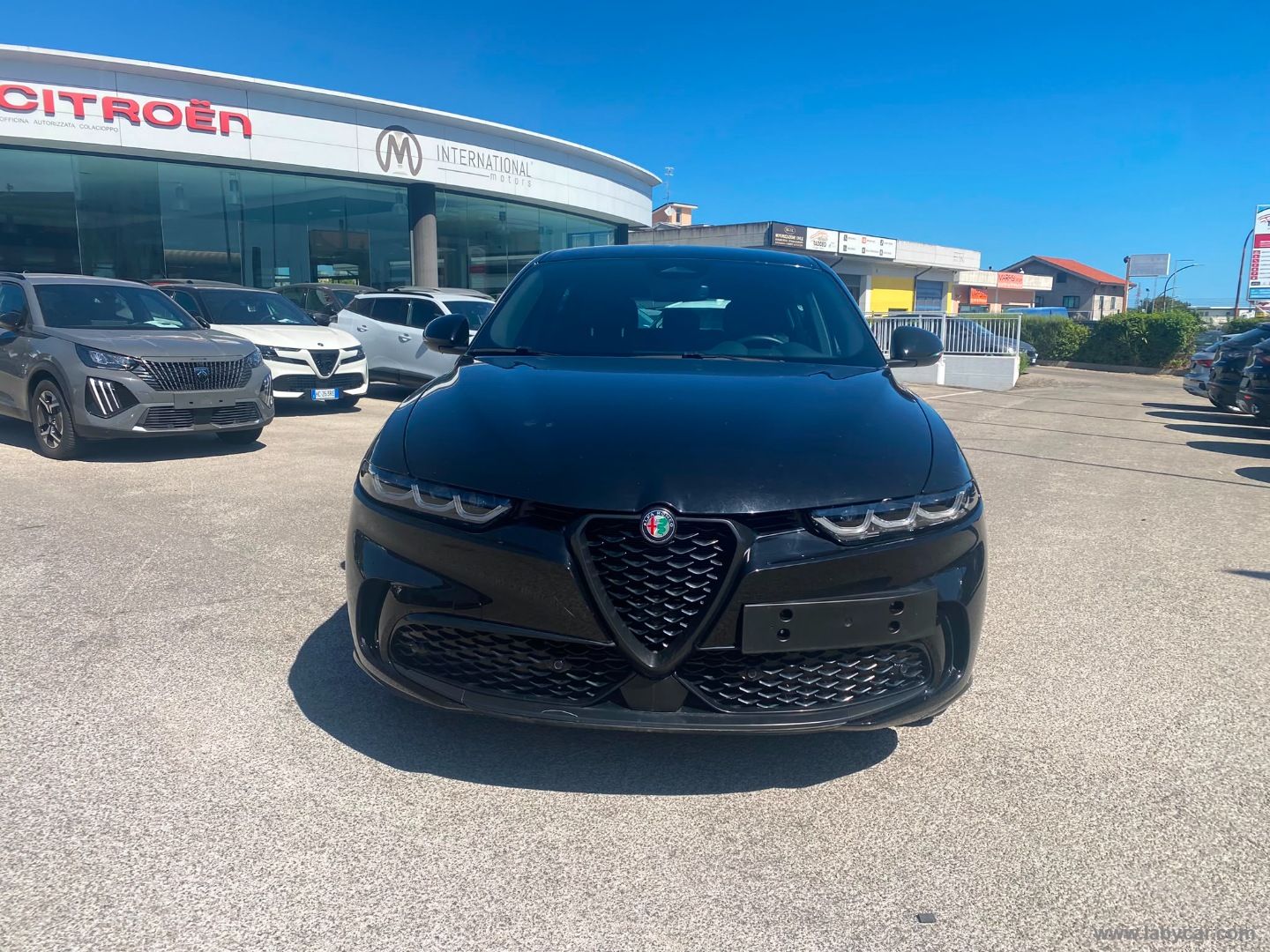Alfa Romeo Tonale 1.6 diesel 130 CV TCT6 Sprint - Immagine 2