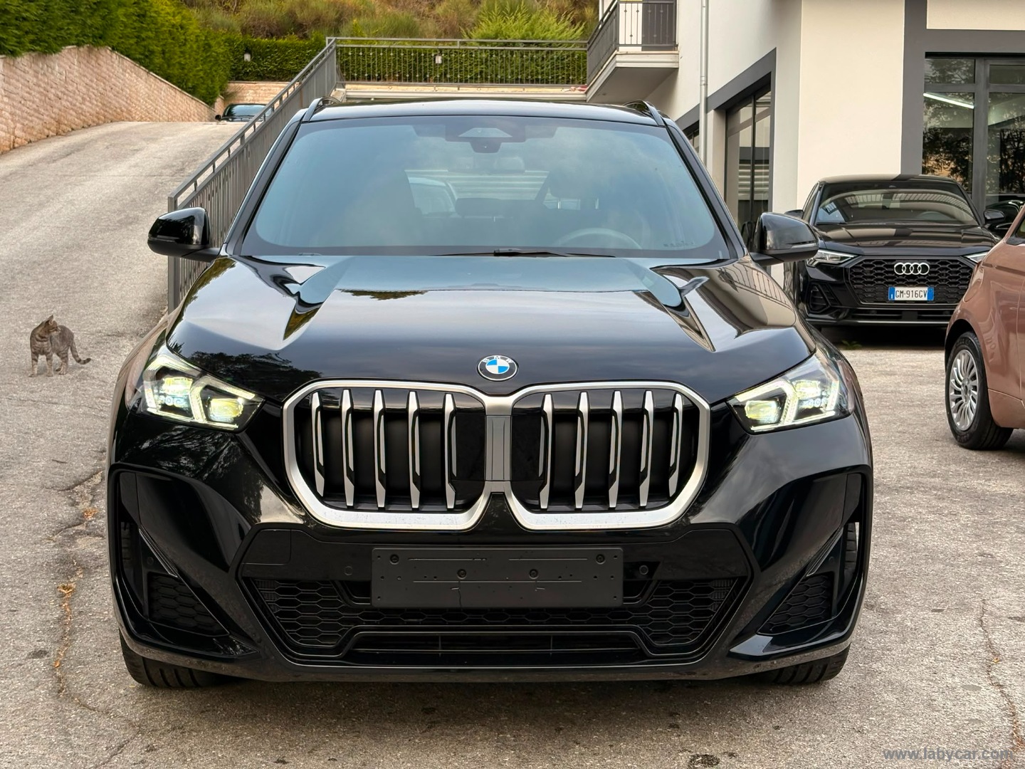 BMW X1 sDrive 20i Msport Pro - Immagine 2