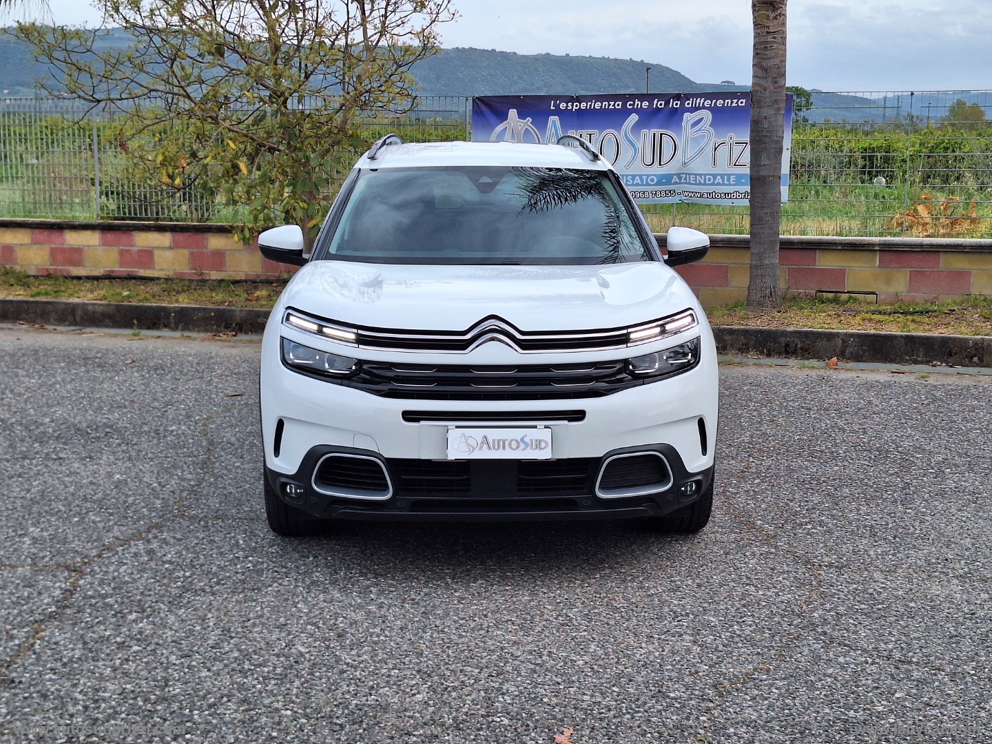 C5 Aircross BlueHDi 130 S&S EAT8 Shine - immagine 2