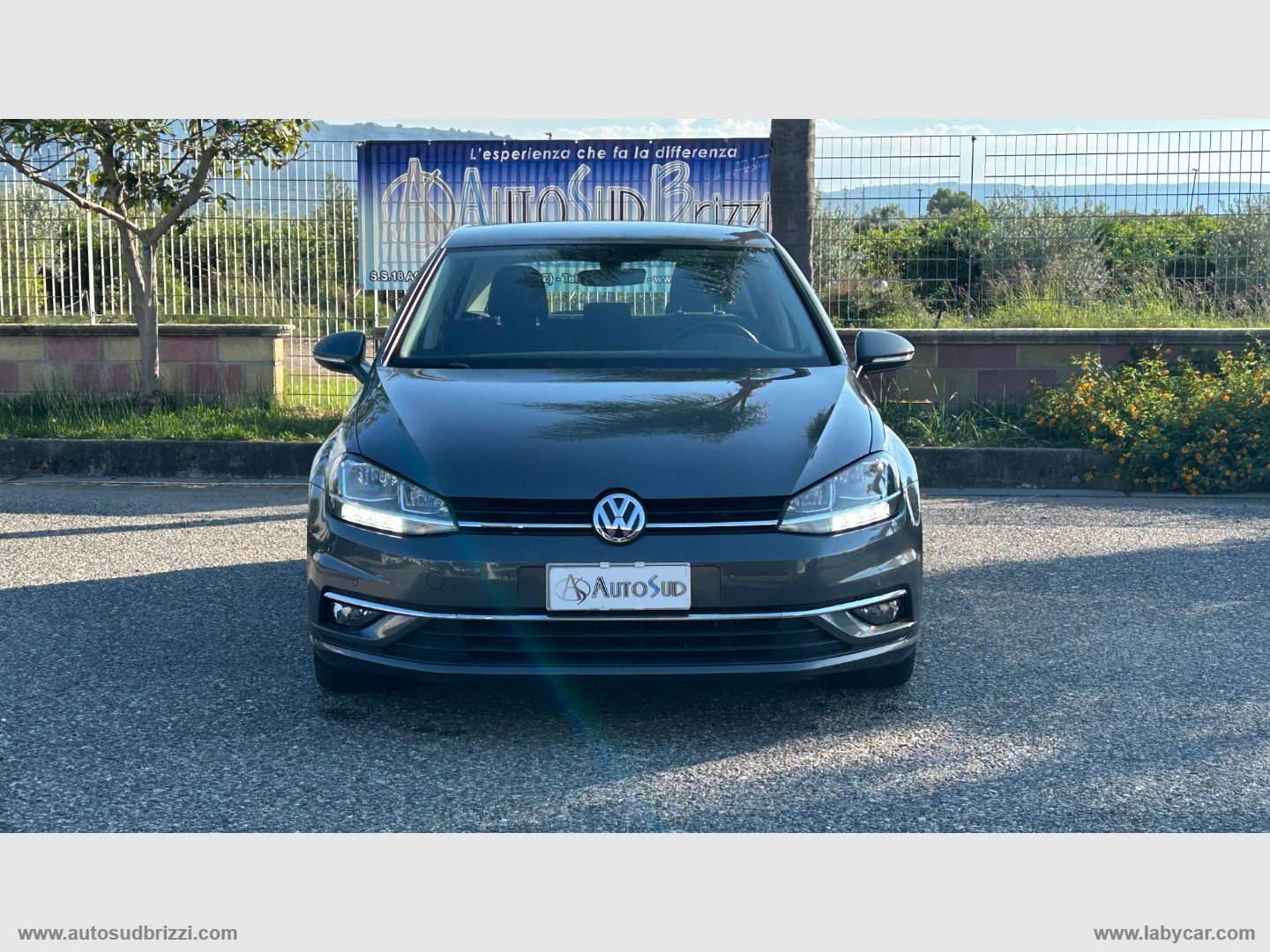 Golf 1.6 TDI 115CV 5p. Business BMT - immagine 2