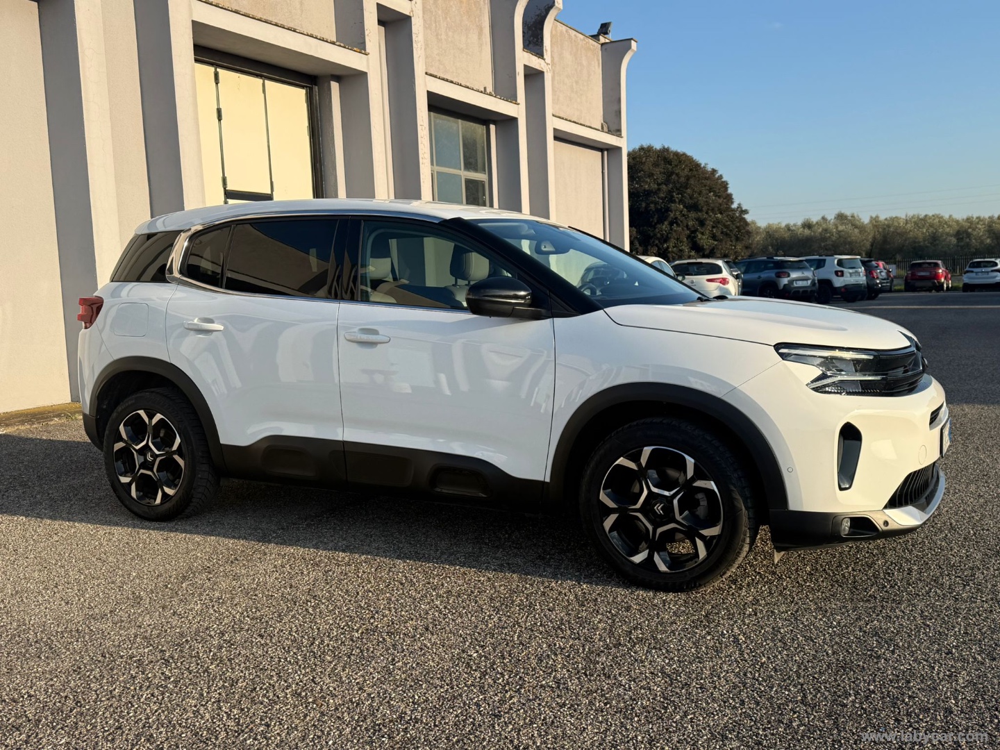 C5 Aircross BlueHDi 130 S&S EAT8 Shine - immagine 2